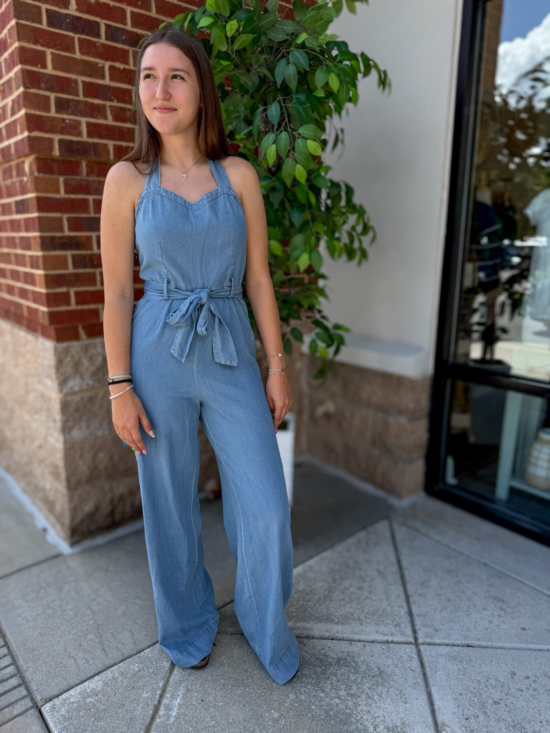 Artie Denim Jumpsuit